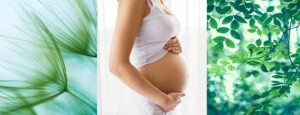 banner zwangerschap
