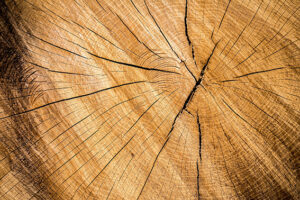 hout 2